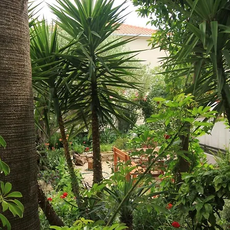 Διαμέρισμα With Parking Space Orebic, Peljesac - 10075