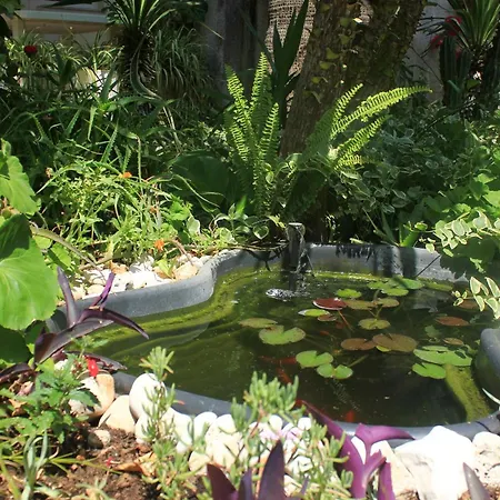 With Parking Space Orebic, Peljesac - 10075 Apartman *