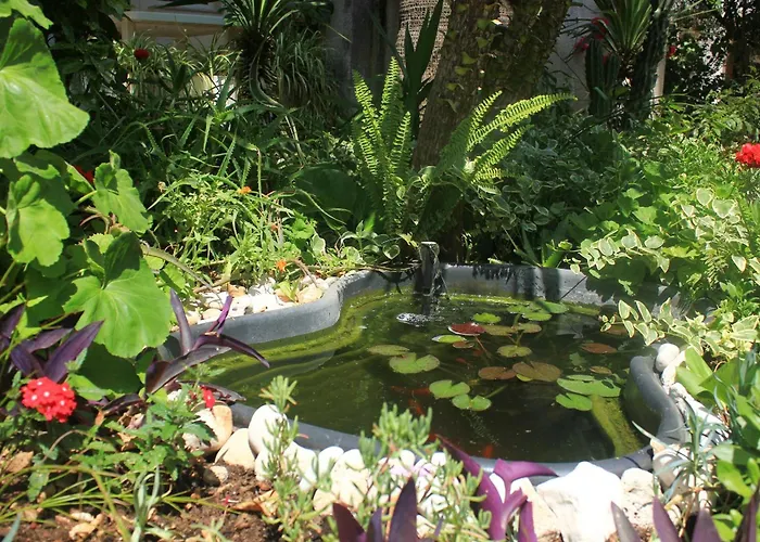 With Parking Space Orebic, Peljesac - 10075 Apartman *